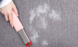 Pet Hair Remover