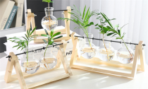 Indoor Plant Glass Pot