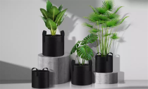  Plant Grow Bags