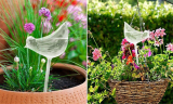 Creative Plant Self Watering Stakes