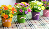 10 Hanging Garden Flower Pots