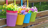 10 Hanging Garden Flower Pots