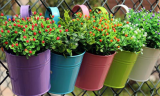 10 Hanging Garden Flower Pots