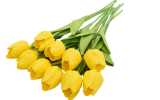 10PCS Tulip Artificial Flowers