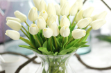 10PCS Tulip Artificial Flowers