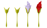 4/8/16PCS Plastic Flower Buds Serviette Holder