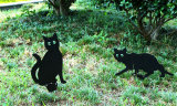 3 Pcs Set Of Garden Scare Cat Pest Deterrent
