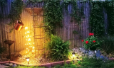 Solar Star Shower Garden Watering Can Lights