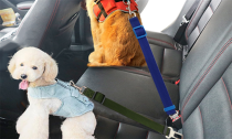 Pet Dog Cat Car Seat Belt 