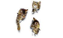 3 PCs Set Of 3D Cute Cat Wall Stickers