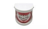 Night Sleep Mouth Guard with Case