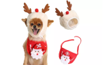 Christmas Pet Hat with Bandana Set