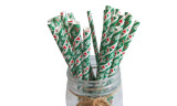 25pcs or 50pcs Christmas Disposable Paper Straws