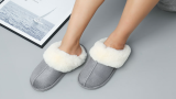 Women's Indoor Warm Plush Slippers