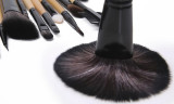 24 Makeup Brushes to Send Brush Bag