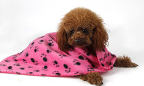 Pet Blankets With Paw Prints