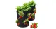 Garden Outdoor Planting Grow Bag 