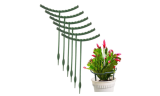 6or 12pcs Plastic Plant Support Pile Stands