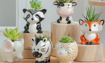 Ceramic Cute Cartoon Succulent Flower Pot