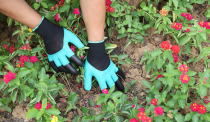 One ,Two Or  Four  Pairs Claw Gardening Gloves