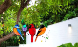 Multicolor Birds Art Ornaments Pendant
