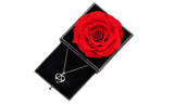 Preserved Rose Rose with I Love You Necklace in 100 Languages