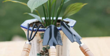 10-Piece Set Of Succulent Planting Tools 