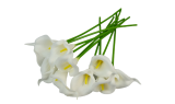 Artificial Flowers Calla Lily Decoration