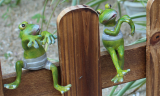 4pcs/Set Creative Climbing Frogs Bonsai Decorative