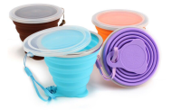 270ml Outdoor Silicone Folding Water Cup With Lanyard