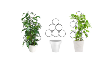 Garden Plant Support Stake Stand