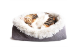  2 In 1 Warm Cat Basket Bed