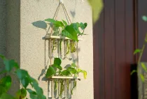 2-layer Test Tube Vases Hydroponic