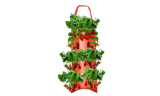 Hanging Strawberry Grow Bag