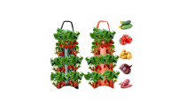 Hanging Strawberry Grow Bag