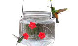 Hummingbird Feeder with Flower Feeding Ports