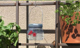 Hummingbird Feeder with Flower Feeding Ports