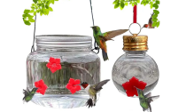 Hummingbird Feeder with Flower Feeding Ports