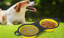 Silicone Collapsible Double Pet Bowls