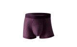 IceMesh Soft Breathable Boxers
