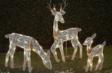 LED Reindeer Christmas Decorations 