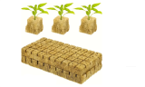 50 Or 100 Pcs No Soil Cultivation Seedling Blocks