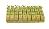 50 Or 100 Pcs No Soil Cultivation Seedling Blocks