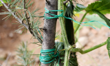 31Pcs Reusable Garden Ties & Plant Twist Ties