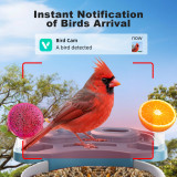 Bird Feeder with Camera, Smart Bird Feeder Camera with AI Identify BirdSpecies, Solar Powered, Instant Alerts, 2K HD Video, Various DIY Addons, 2.4G WiFi, Gift for Mom Dad and Birdlover (Red)