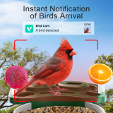 Bird Feeder with Camera, Smart Bird Feeder Camera with AI Identify BirdSpecies, Solar Powered, Instant Alerts, 2K HD Video, Various DIY Addons, 2.4G WiFi, Gift for Mom Dad and Birdlover (Red)