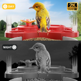 Bird Feeder with Camera, Smart Bird Feeder Camera with AI Identify BirdSpecies, Solar Powered, Instant Alerts, 2K HD Video, Various DIY Addons, 2.4G WiFi, Gift for Mom Dad and Birdlover (Red)