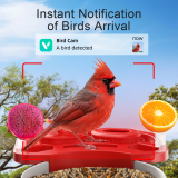 Bird Feeder with Camera, Smart Bird Feeder Camera with AI Identify BirdSpecies, Solar Powered, Instant Alerts, 2K HD Video, Various DIY Addons, 2.4G WiFi, Gift for Mom Dad and Birdlover (Red)