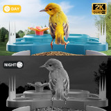 Bird Feeder with Camera, Smart Bird Feeder Camera with AI Identify BirdSpecies, Solar Powered, Instant Alerts, 2K HD Video, Various DIY Addons, 2.4G WiFi, Gift for Mom Dad and Birdlover (Red)