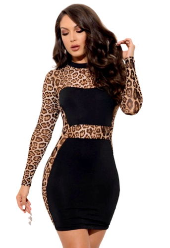 Long Sleeve Leopard Printed Women Dress